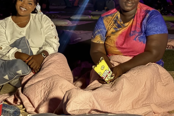 Movie In The Park 4